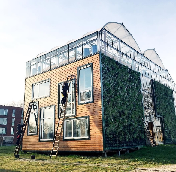 Photo: Instagram Greenhouse living
