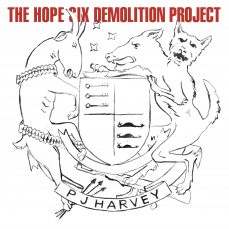 alt="the-hope-six-demolition-project"