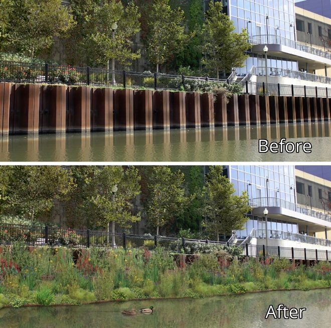 Projet de jardins flottants sur la rivière Chicago. Photo: prise d'écran Kickstarter.