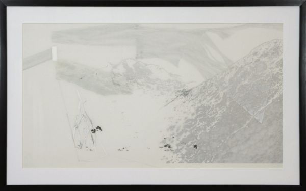 Halde 9, 2012. Cara Déry. Impression numérique, graphie et crayon de bois sur feuille de papier Mylar. 65 x 105 cm. © L'Artothèque 