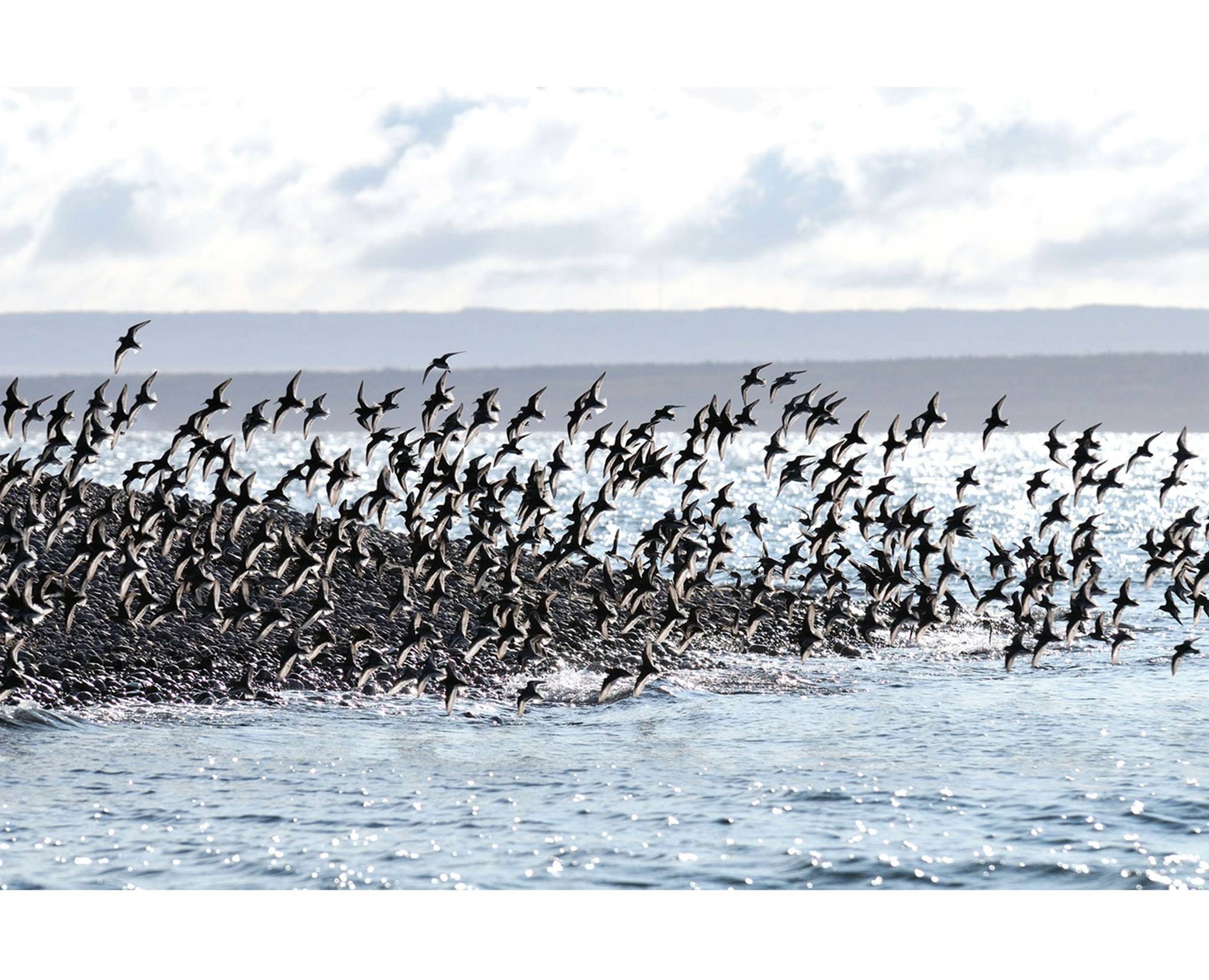 rencontre au lac st jean