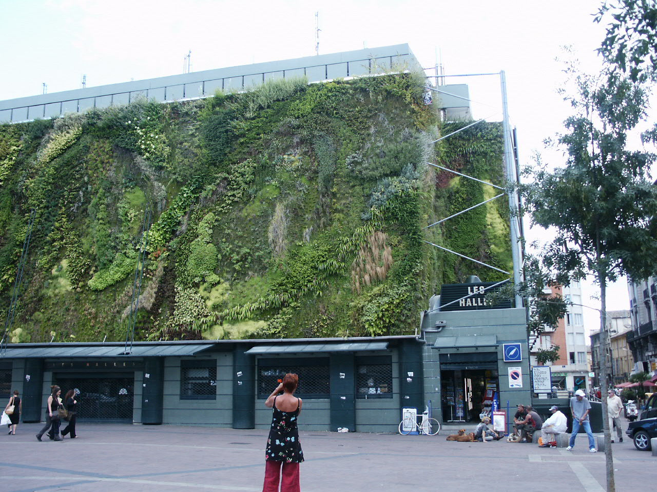 Photo: Wikimedia Commons Mur végétal des Halles à Avignon.