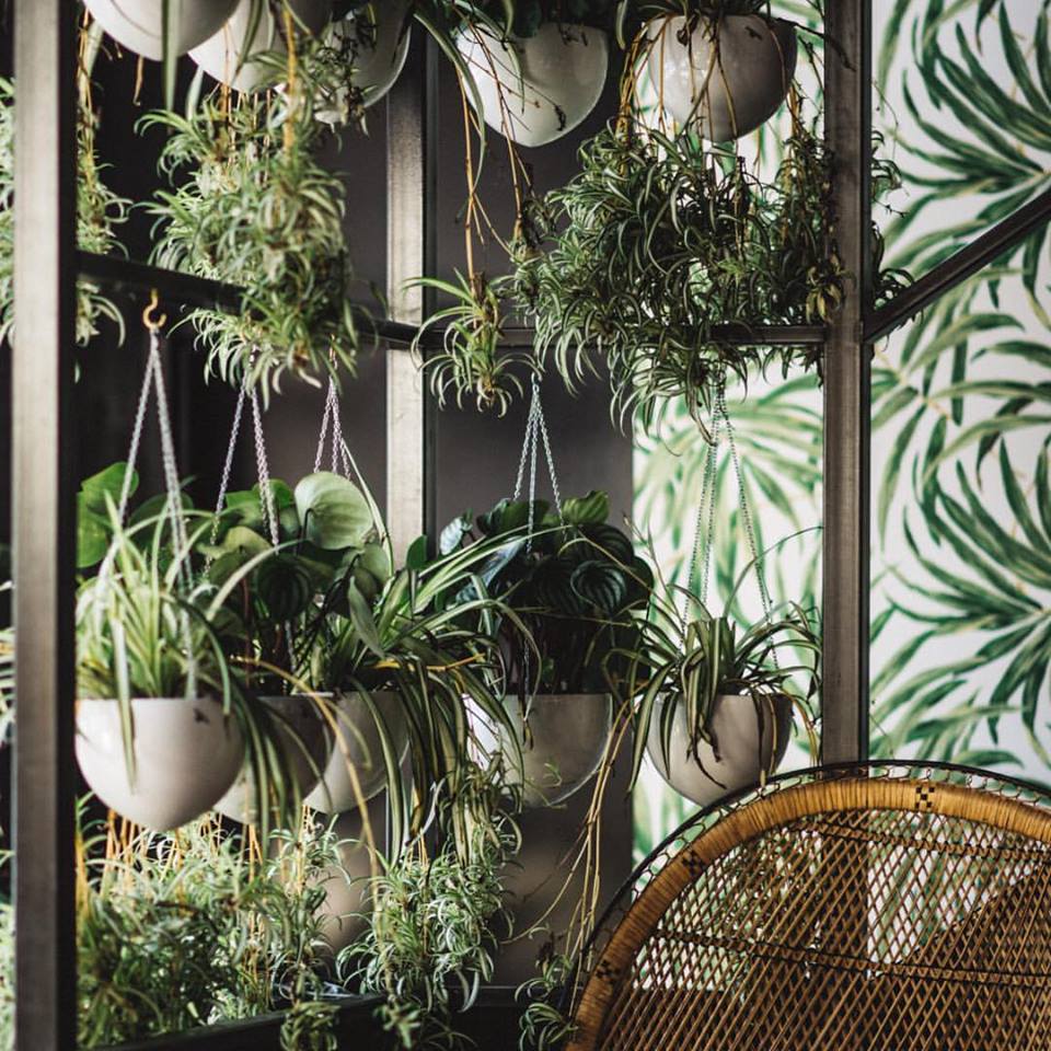 Pots de verdure intégrés au décor. Photo: Facebook La Chambre Design& Co