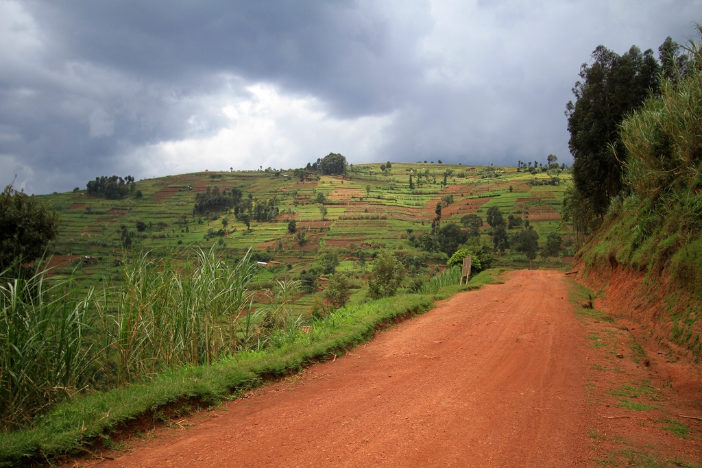 Paysage du Rwanda. Photo: Adam Cohn, Flickr