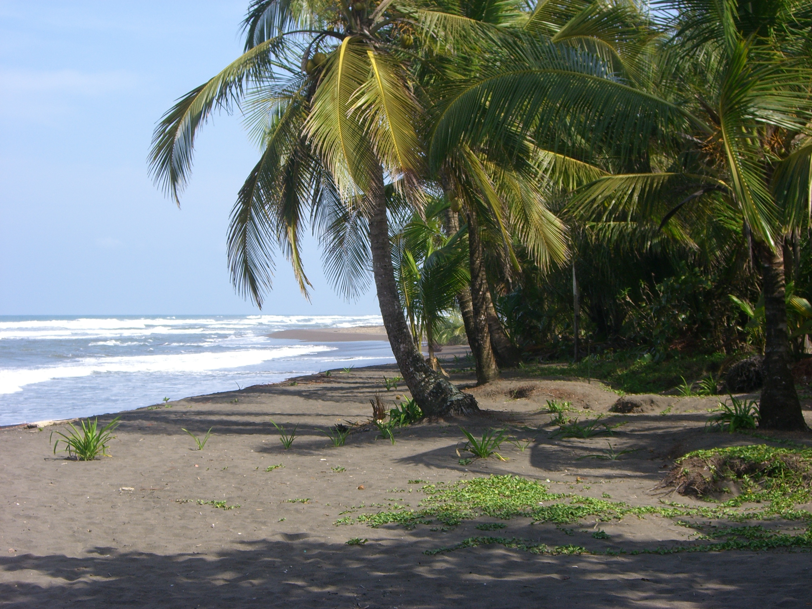 La plage de Tortuguera au Costa Rica Photo: Pixabay