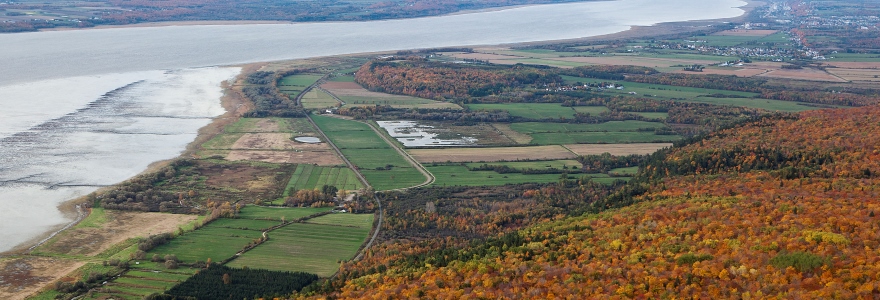 La réserve de Cap Tourmente dans ses couleurs d'automne. Photo : ©Environnement et Changement climatique Canada, 2015. 