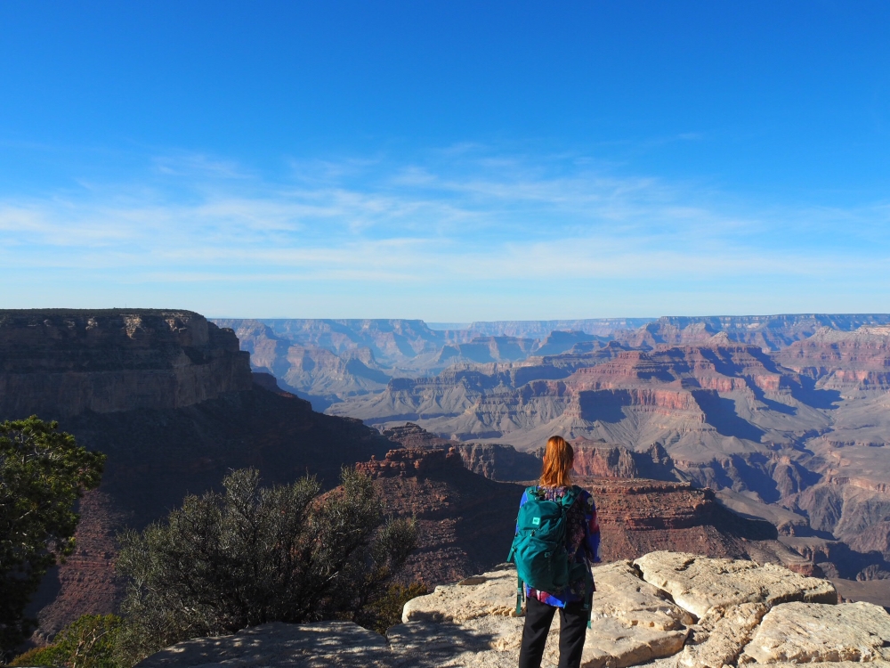 S'émerveiller devant le Grand Canyon