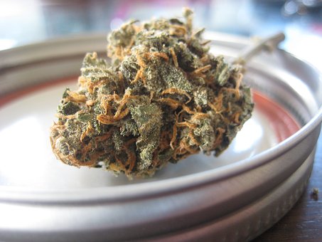 Le cannabis dans les recettes, un incontournable? Photo: Pixabay