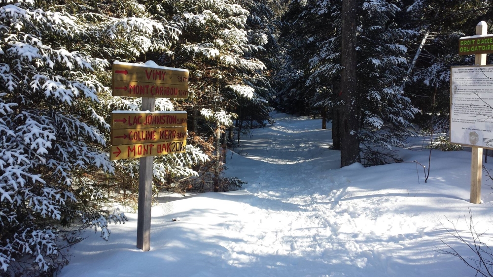 Les sentiers du Mont Oak raviront les amateurs de marche hivernale. Photo: Facebook Sentiers Pédestres des 3 Monts de Coleraine