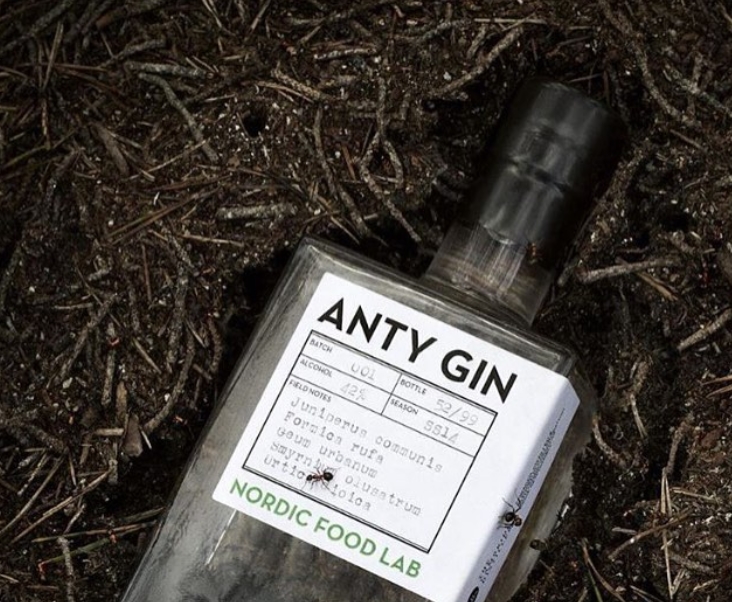 Une petite fourmi avec votre gin? Photo: Instagram Nordic Food Lab
