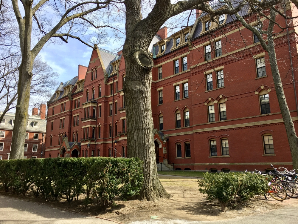 L'université Harvard, une visite incontournable lors d'un séjour à Boston. Photo: Marie-Julie Gagnon