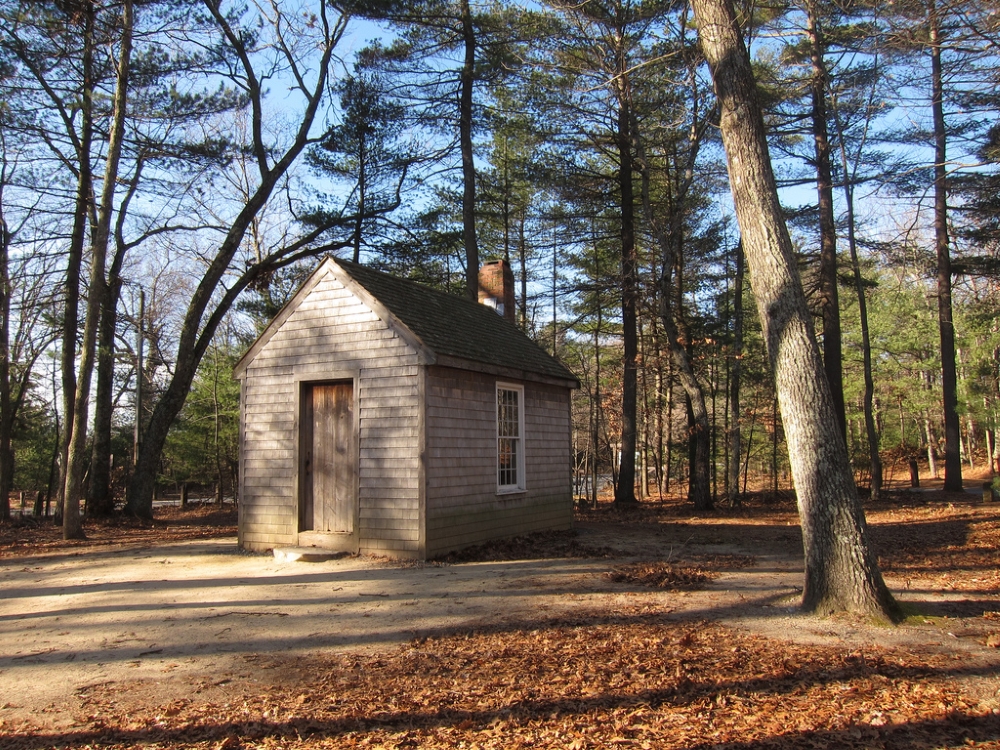 Reconstitution de la cabane de Thoreau au Walden Pond State Reservation. Photo: Miguel Vieira, Flickr