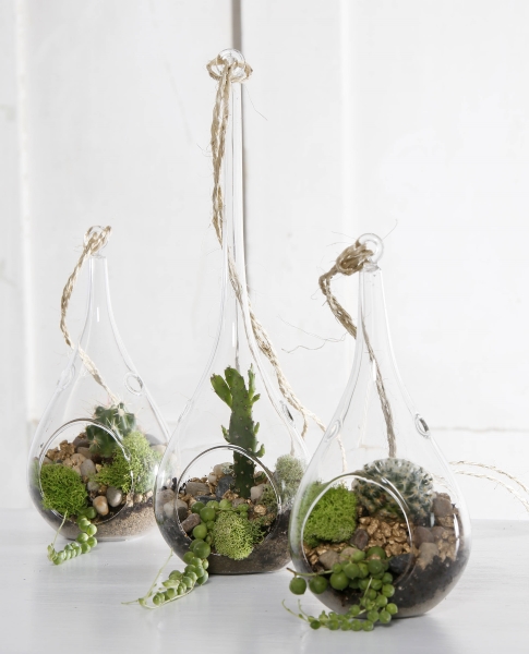 ElisaSignature propose de jolis terrariums. Photo: Etsy