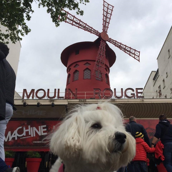 Scarlett devant le Moulin Rouge, à Paris. Photo: Pascale Lévesque
