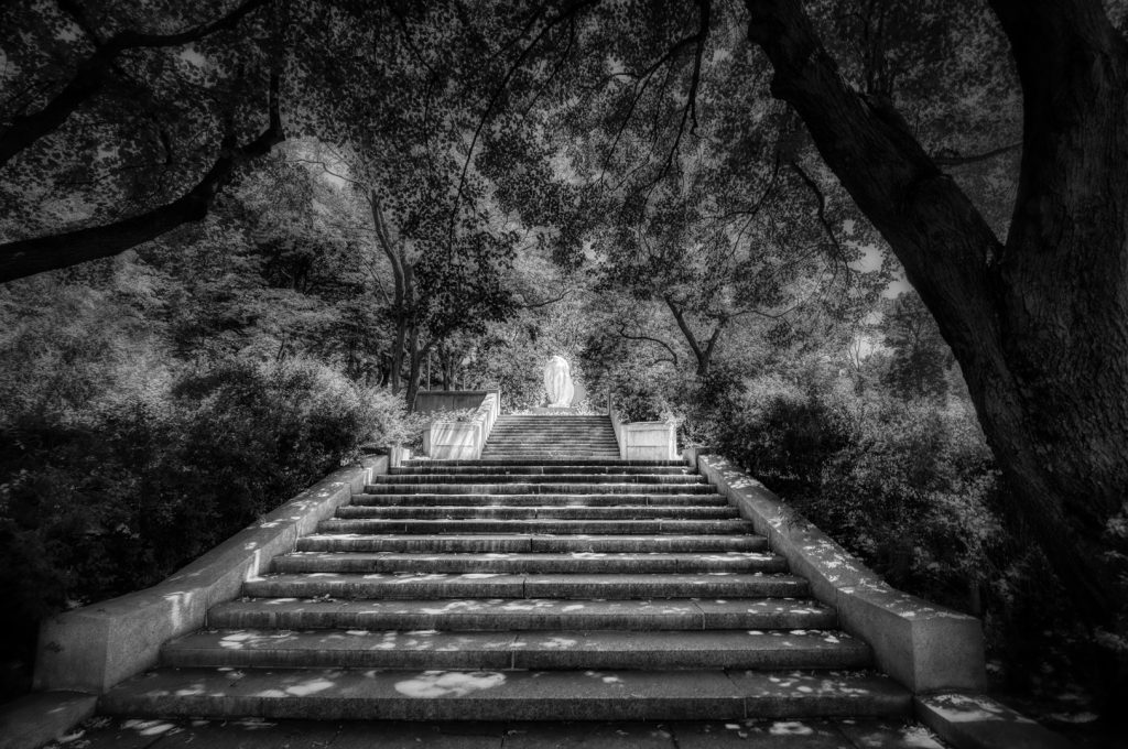 Quel est l'intérêt des photos en noir et blanc ? - Irys Photographie