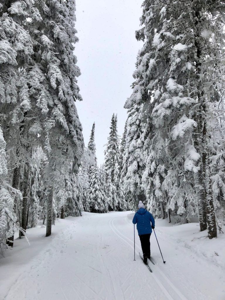 Ski de fond – sentierdescaps