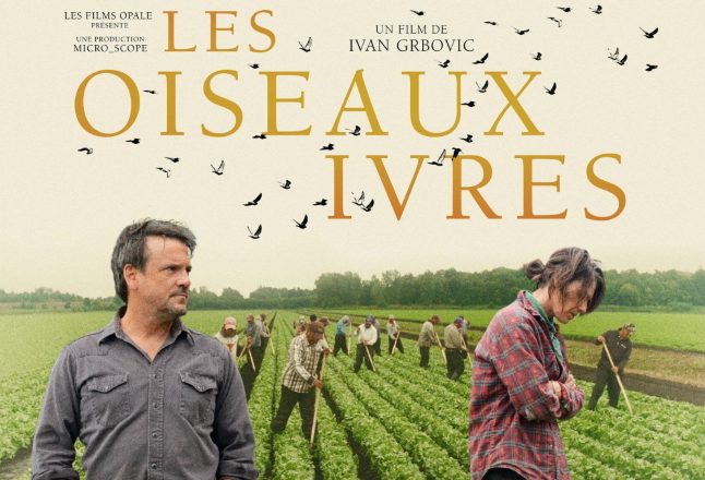 <i>Les oiseaux ivres</i> d’Ivan Grbovic, un film magnétique