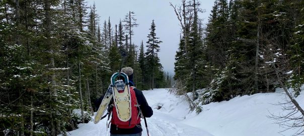 Trottinette des neiges, Autre, Saguenay